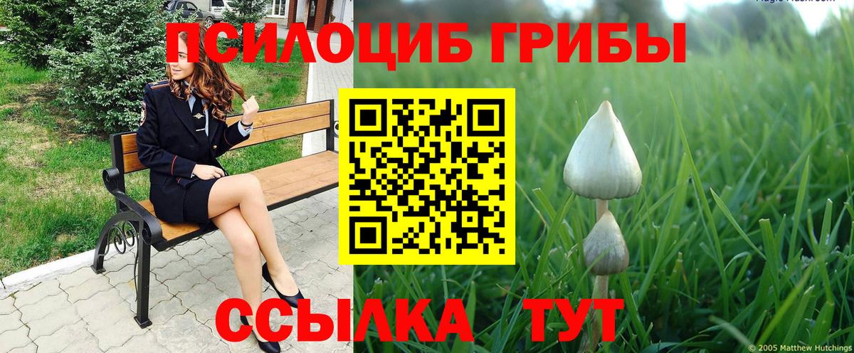 Галлюциногенные грибы Cubensis Комсомольск-на-Амуре
