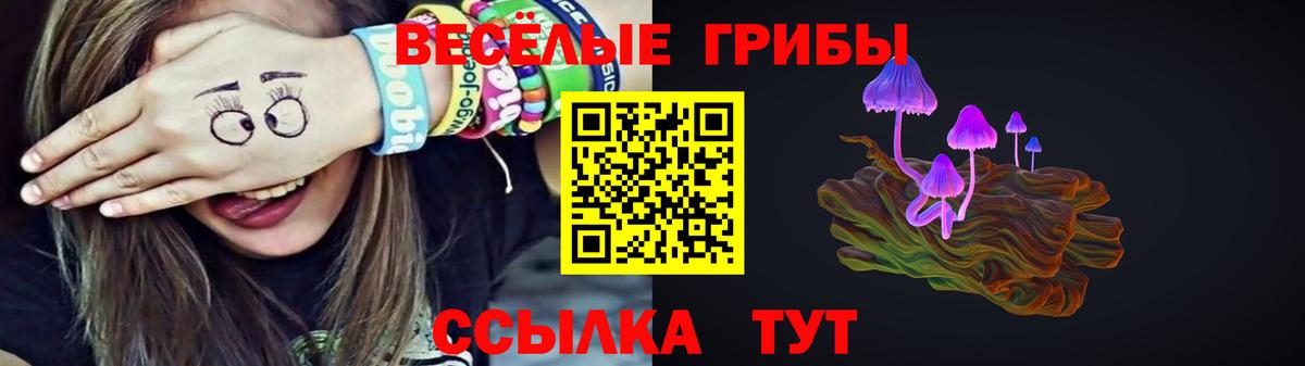 Галлюциногенные грибы Magic Shrooms  хочу наркоту  Галлюциногенные грибы Cubensis  Комсомольск-на-Амуре  Вход с VPN 